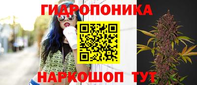 Альфа ПВП Тверь