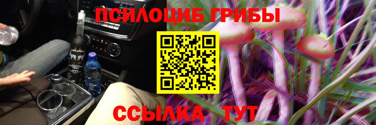 Симферополь  Псилоцибиновые грибы прущие грибы  Вход с VPN 