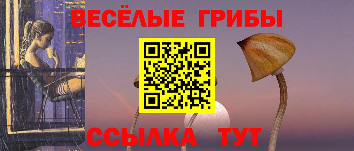 Псилоцибиновые грибы мухоморы Симферополь